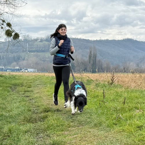 5 activités à faire avec mon chien