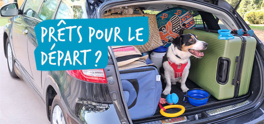 Oslo vous attend dans la voiture. Il est prêt pour le départ en vacances avec son harnais rouge Dynamic' Fidelami. Dans le coffre de la voiture au milieu de ses bagages et de ses jeux préférés.