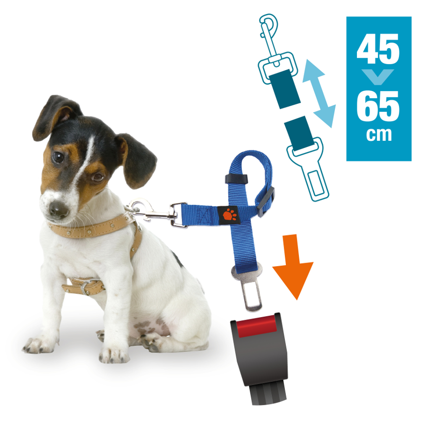 Ceinture de sécurité bleue
