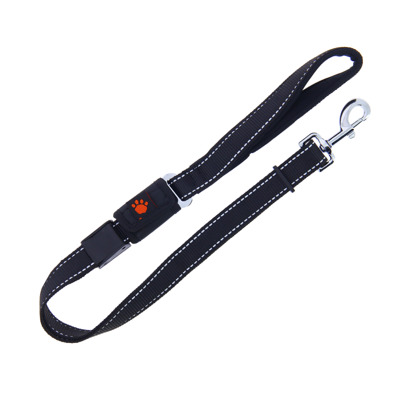 Laisse 2 en 1 promenade et ceinture de sécurité