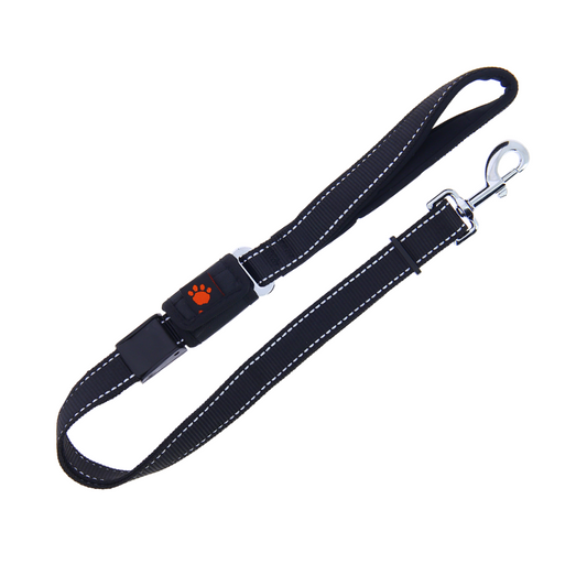 Laisse 2 en 1 promenade et ceinture de sécurité