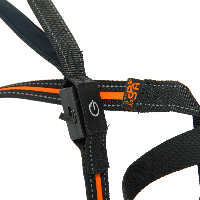 Laisse à LED rechargeable 1,2 m