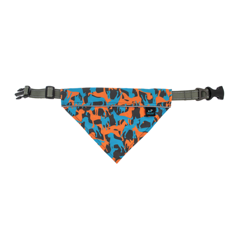Bandana Dog