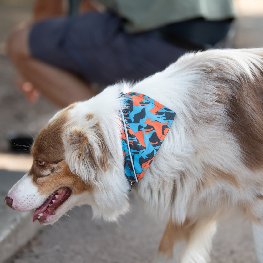 Bandana Dog M