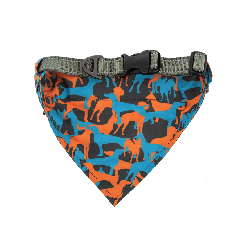 Bandana Dog