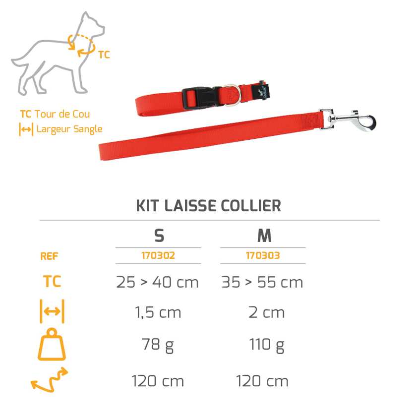 Kit collier/laisse rouge