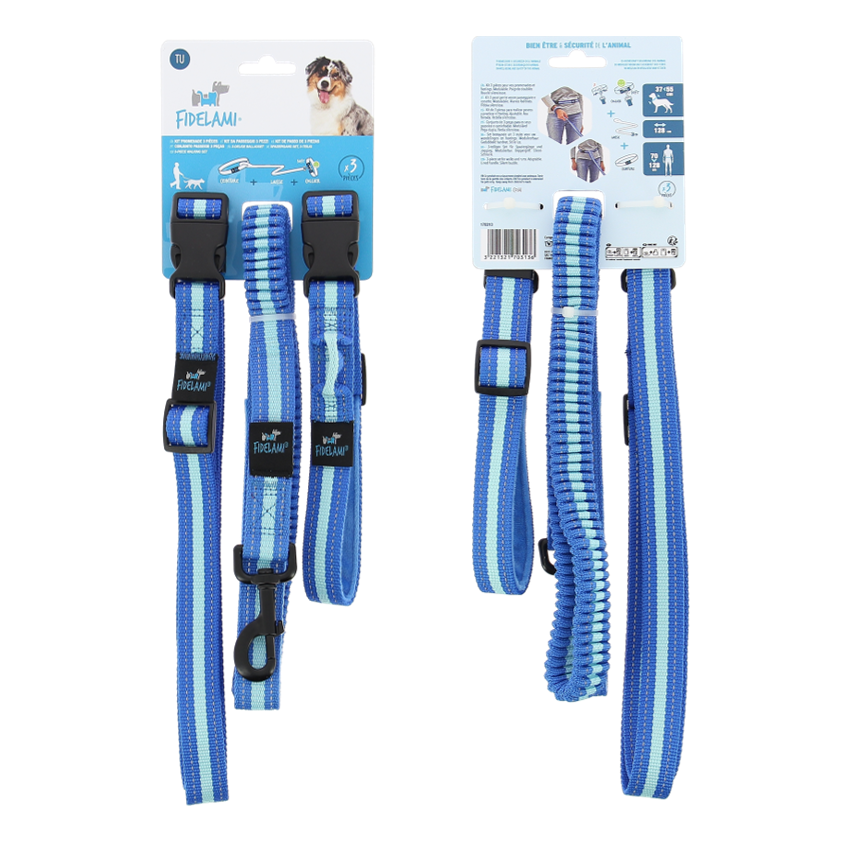 Kit Sport 3 en 1 : collier, laisse ceinture bleu