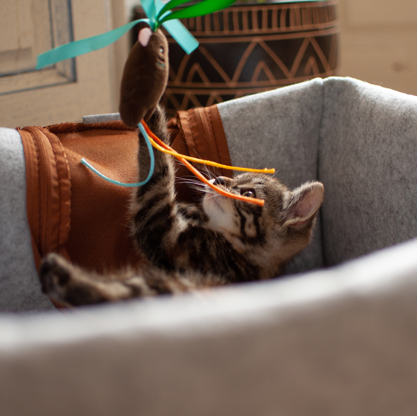 Canne à pêche Boho