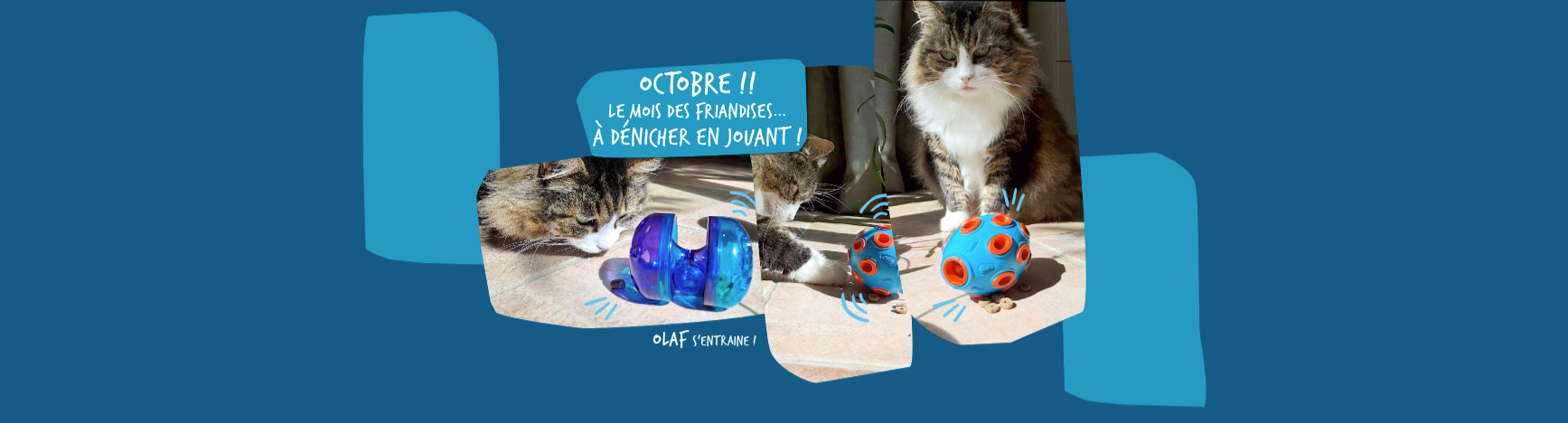 Olaf de la Bande à Léon, veut comprendre comment gagner ses friandises dans les jeux Fidelami.