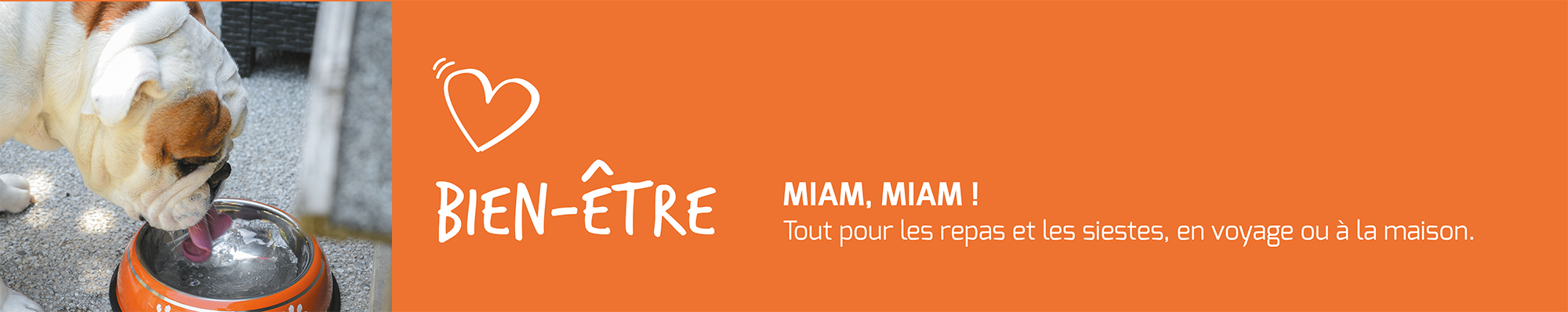 Bienvenue sur le site de Fidelami, la nouvelle marque d'accessoires pour chiens et chats qui prend a coeur le bien-être animal. Nous travaillons en collaboration avec la SPA pour vous proposer les meilleurs produits. Dans cette rubrique, retrouvez nos gamelles inox ou en paille de blé. Sur cette photo, on voit un chien blanc et marron en train de boire dans une gamelle en inox orange