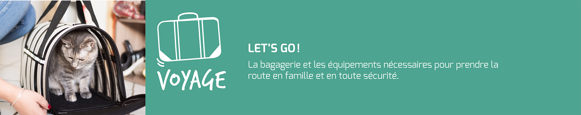 Ceci est le header de la rubrique voyage de Fidelami. On y voit un chat gris et blanc dans notre caisse de transport légère. Fidelami propose une large gamme de caisses de transport et de protections pour la voiture. Nous veillons à la sécurité de votre chien ou de votre chat lors de son transport, notamment grâce à des ceintures de sécurité pour les animaux. Nous travaillons en collaboration avec la Société protectrice des animaux pour que nos produits respectent au mieux le bien-être animal.
