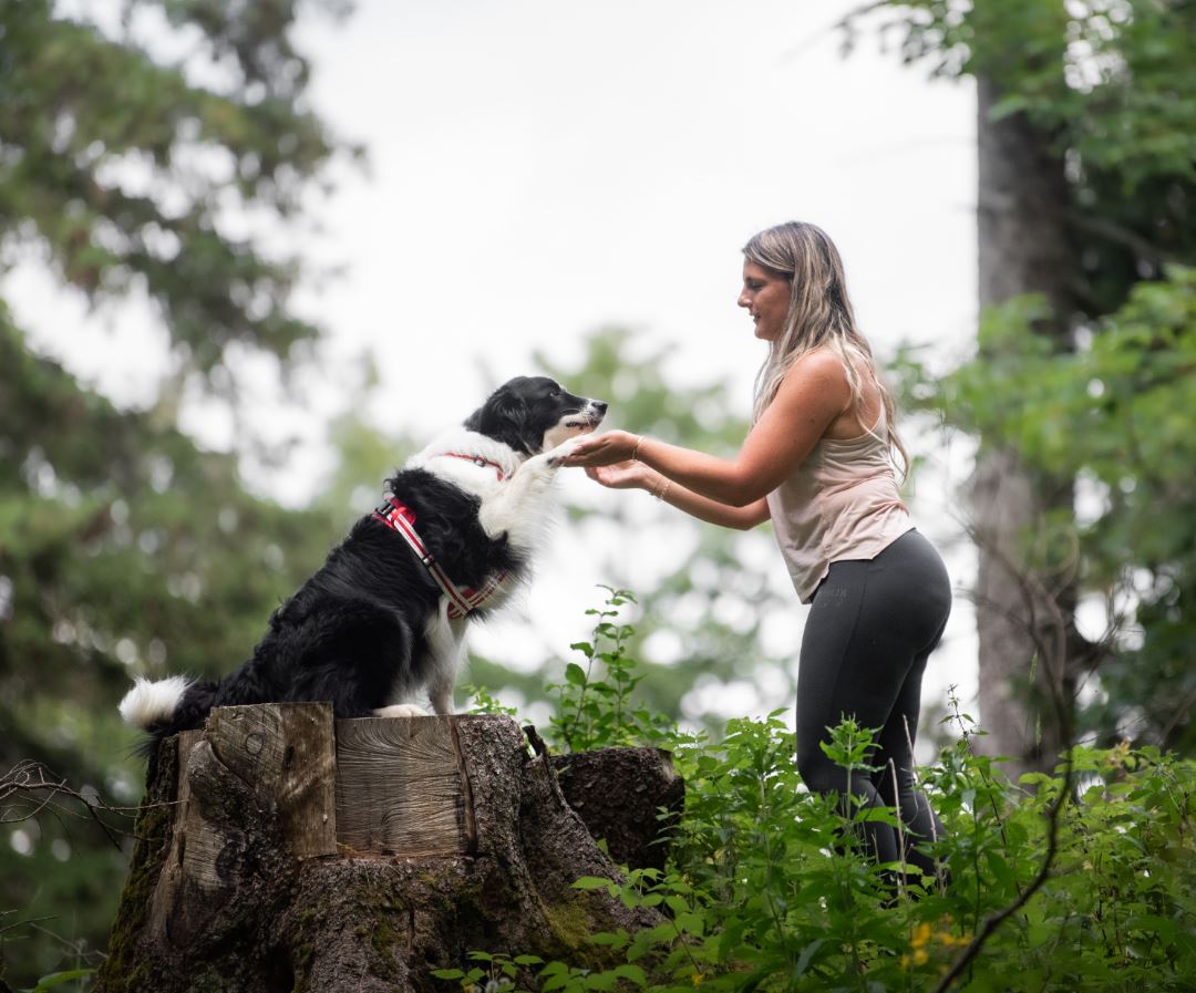 Cette photo montre Inès Rastouil, une ostéopathe animalière associée à la marque Fidelami et sa chienne Naia, une chienne border collie sur une souche d'arbre dans une forêt en Haute-Savoie. Fidelami se soucis du bien-être animal et travaille avec des professionnels du chien et du chat pour créer des harnais ergonomiques et adaptés à toutes les tailles de chien, qu'ils soient des petits chiens, des chiens moyens ou de grands chiens.