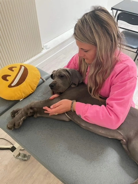 Inès est une ostéopathe animalier basée à Annecy en Haute-Savoie. Elle fait partie des experts associés à Fidelami, et elle nous conseille sur l'ergonomie de nos produits. Elle consulte pour les chiens, les chats, mais aussi pour les chevaux, les vaches, les chèvres et les moutons. L'ostéopathie animalière fait partie des nombreux soins réguliers à apporter à son chien ou à son chat pour lui garantir un bien-être optimal.
