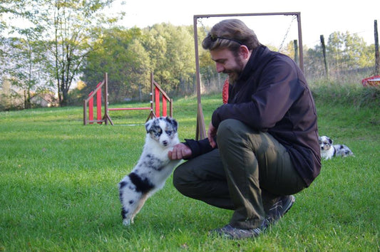 Stéphane Mehl, éducateur et comportementaliste canin
