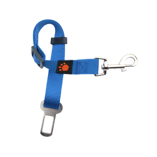 Ceinture de sécurité bleue