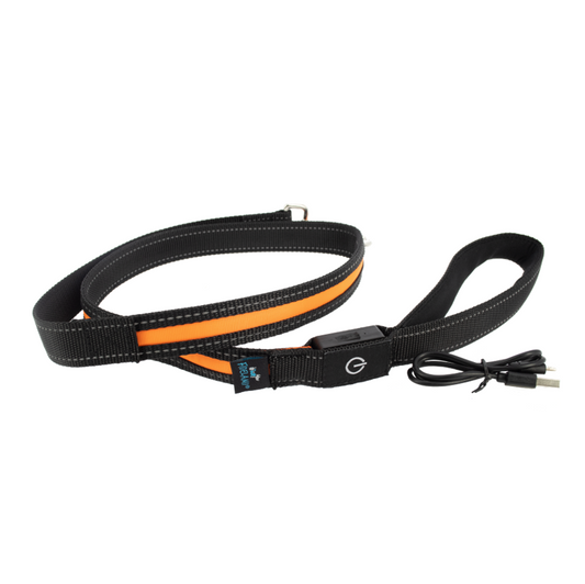 Laisse à LED rechargeable 1,2 m