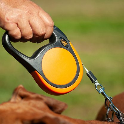 Laisse rétractable orange 5 m