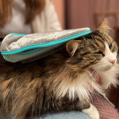 Gant de toilettage 2 en 1