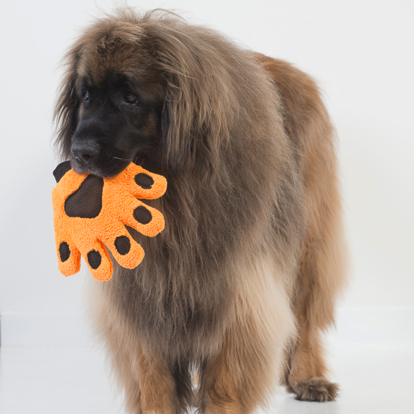 Gant de toilette Patte de tigre