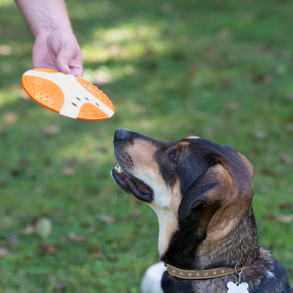 Frisbee