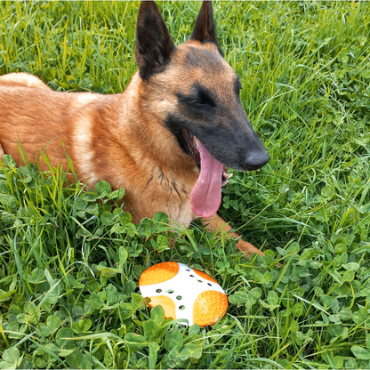 Frisbee