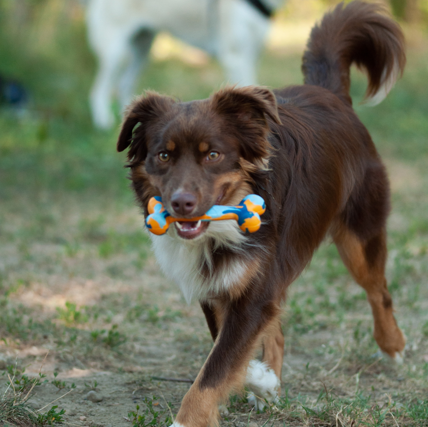Os en caoutchouc 15 cm