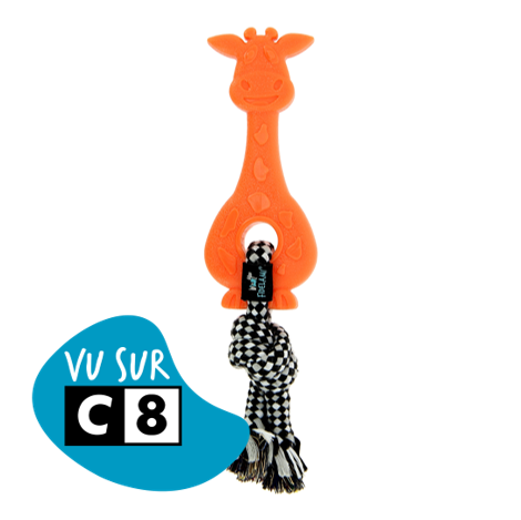 Girafe de dentition