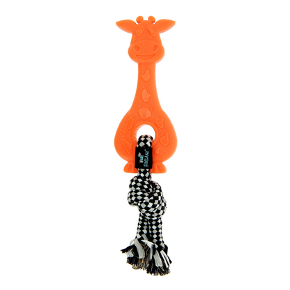 Girafe de dentition