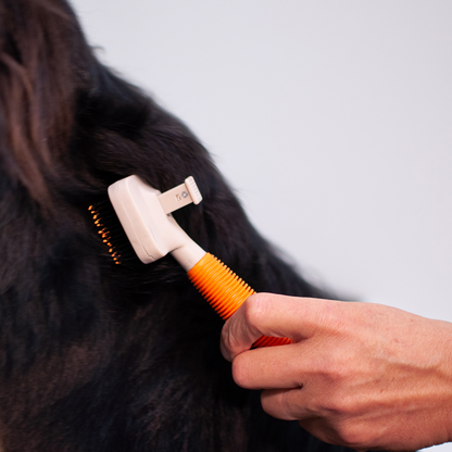 Brosse "push"
