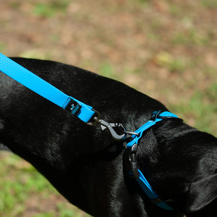 Laisse PREMIUM bleue 1.30 m