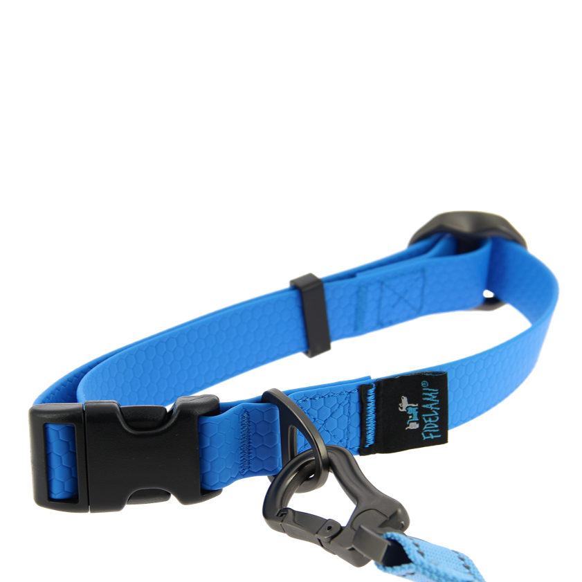 Collier PREMIUM bleu M/L