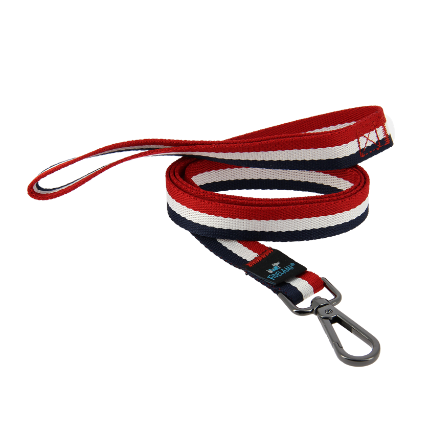 Laisse Bleu Blanc Rouge 1,50m