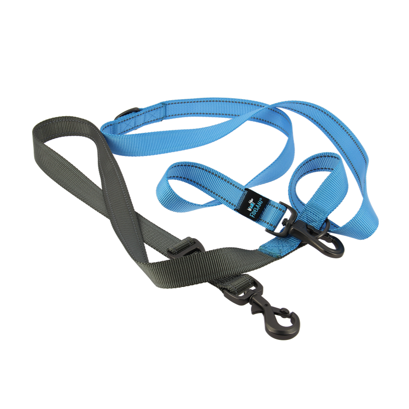 Laisse 3 Points Grise & Bleue 2,40 m