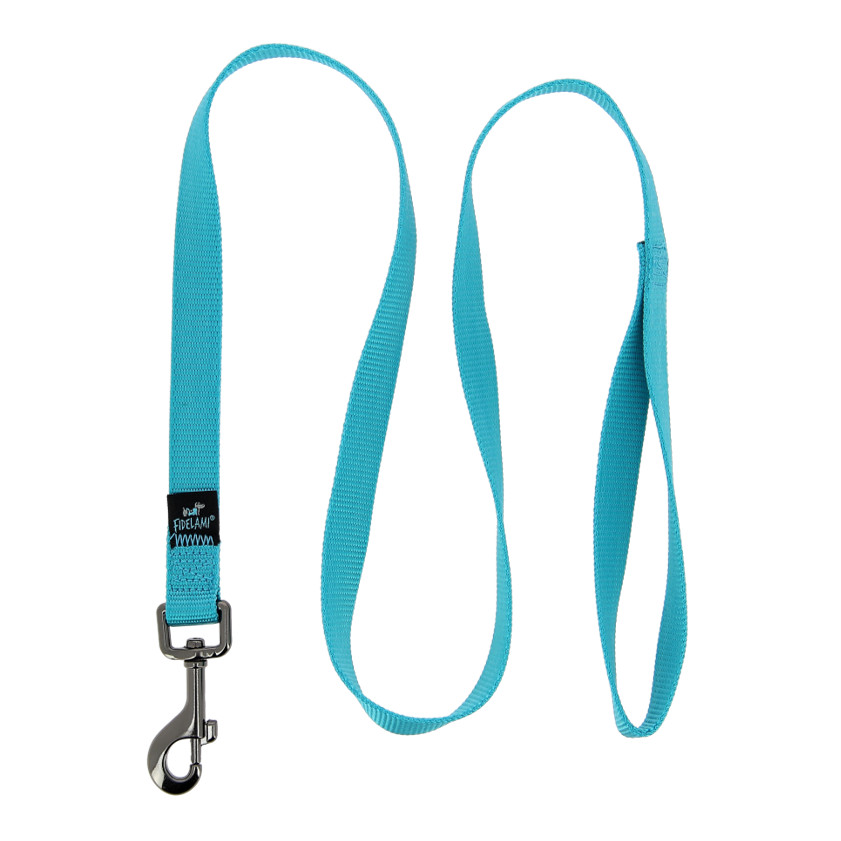 Laisse universelle turquoise 1,20 m