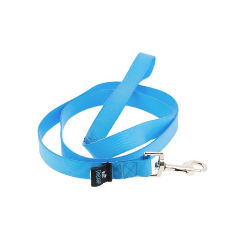 Laisse Aqua 1,20 m