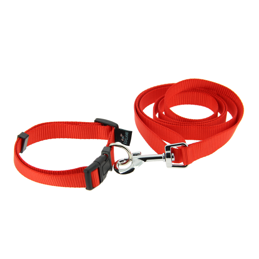 Kit collier/laisse rouge