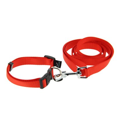 Kit collier/laisse rouge