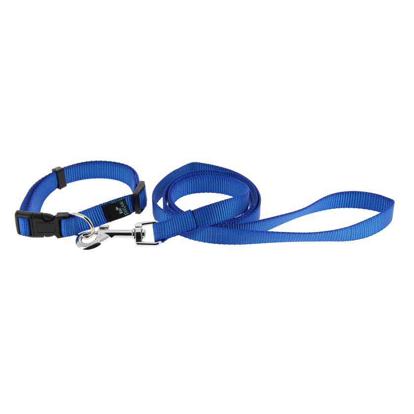 Kit collier/laisse bleu S