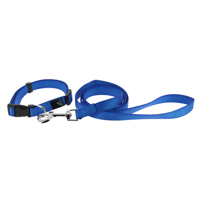 Kit collier/laisse bleu S