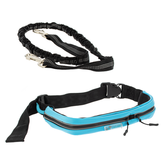 Kit sport ceinture avec poche et laisse