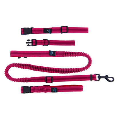 Kit Sport 3 en 1 : collier, laisse, ceinture