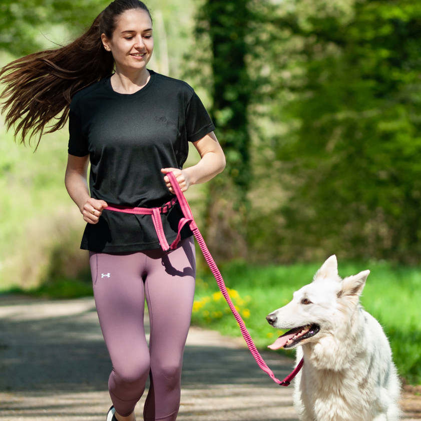 Kit Sport 3 en 1 : collier, laisse, ceinture