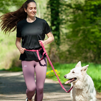 Kit Sport 3 en 1 : collier, laisse, ceinture