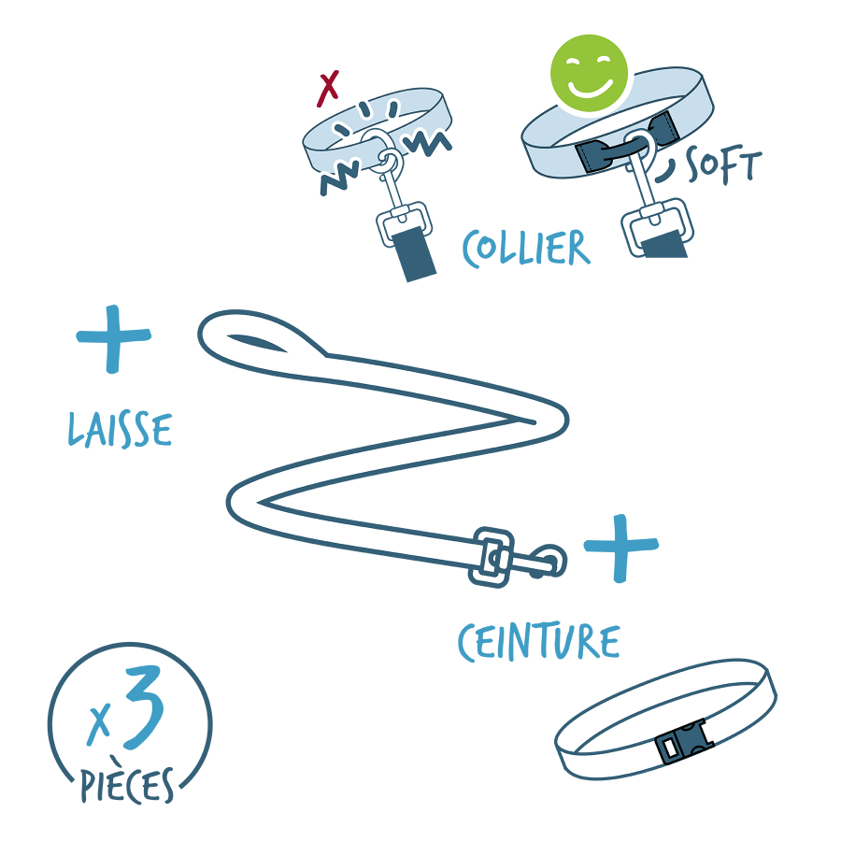 Kit Sport 3 en 1 : collier, laisse ceinture bleu