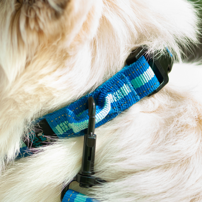 Kit Sport 3 en 1 : collier, laisse ceinture bleu