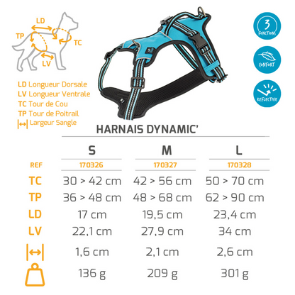 Harnais Dynamic turquoise L