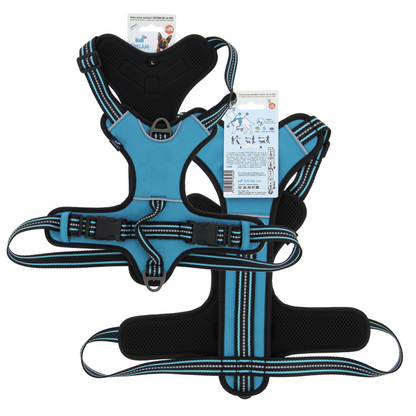Harnais Dynamic turquoise L