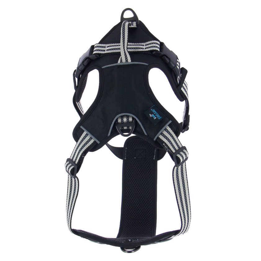 Harnais Dynamic noir L