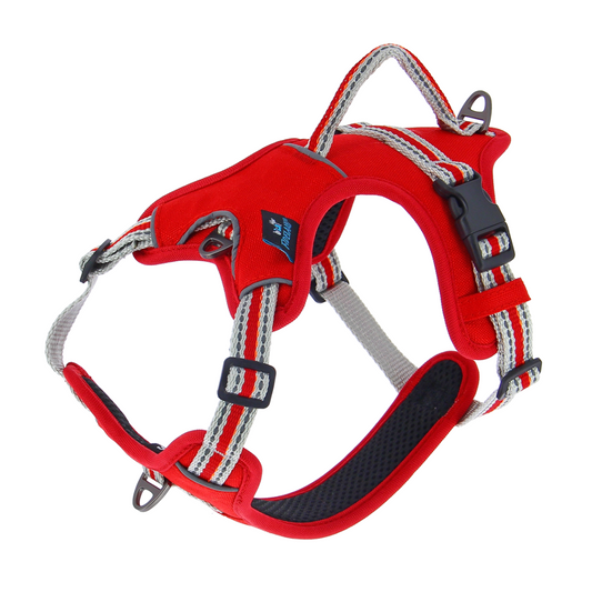 Harnais Dynamic rouge M