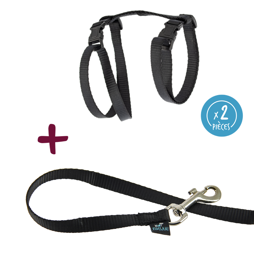 Harnais noir avec laisse 1,2 m